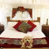 Plush Tents Yurt Interior with dog staycation travel