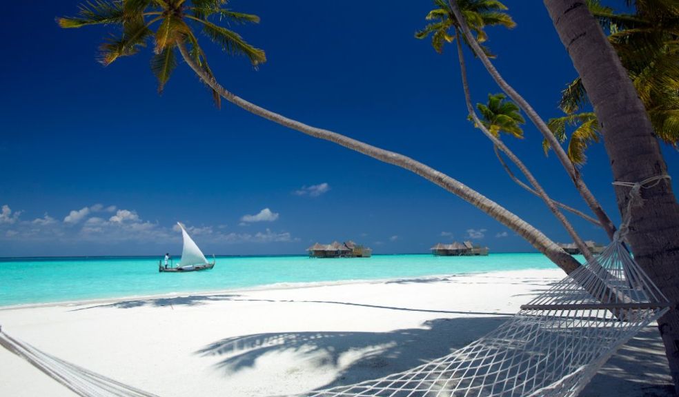 Palm Beach with Hammock Gili Lankanfushi The Maldives surfing holiday travel
