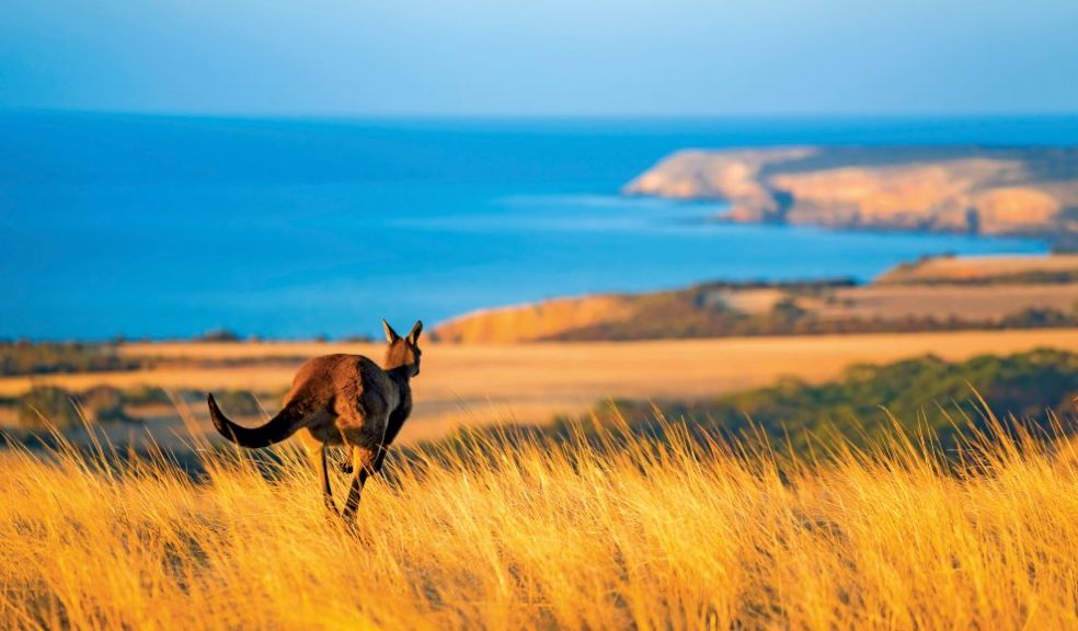 Australia opens borders Scenic Discover ‘Down Under’ travel