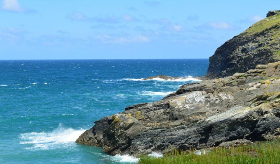 Cornish Beach Spring Flowers Travel