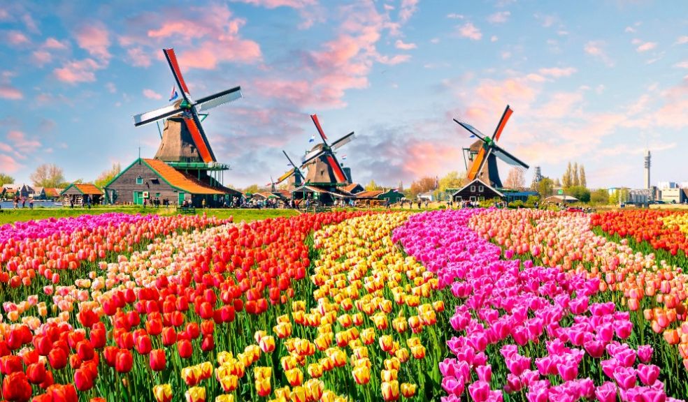 Floriade Expo 2022 Holland Scenic Travel 