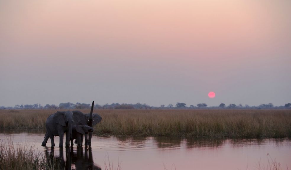 Great Plains Expeditions New Botswana Travel Experience