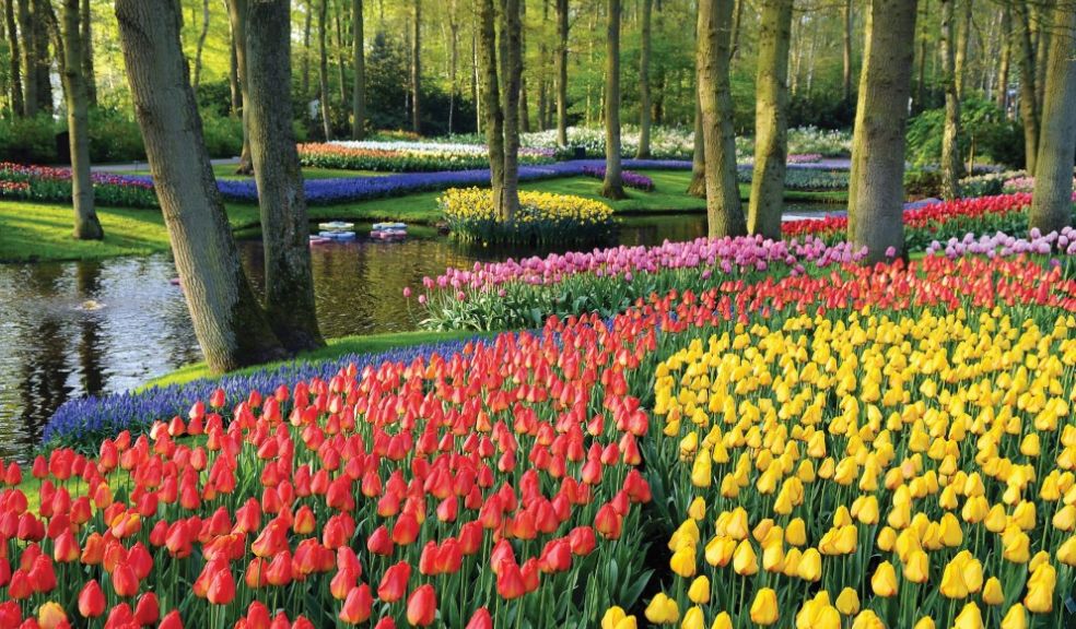 Great Rail Journeys Floriade Flower Show and Keukenhof Gardens travel