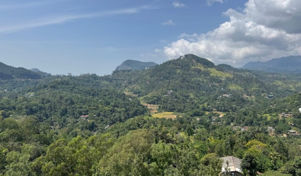 Halpewatte Tea Factory Ella Sri Lankas Hill Country Family Travel