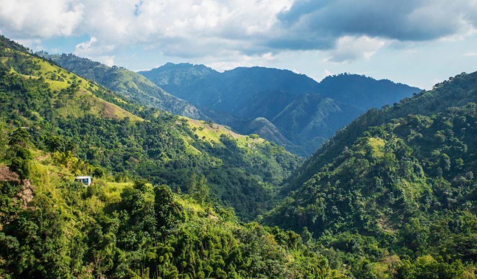 Jamaica Blue Mountains alternative travel experience 