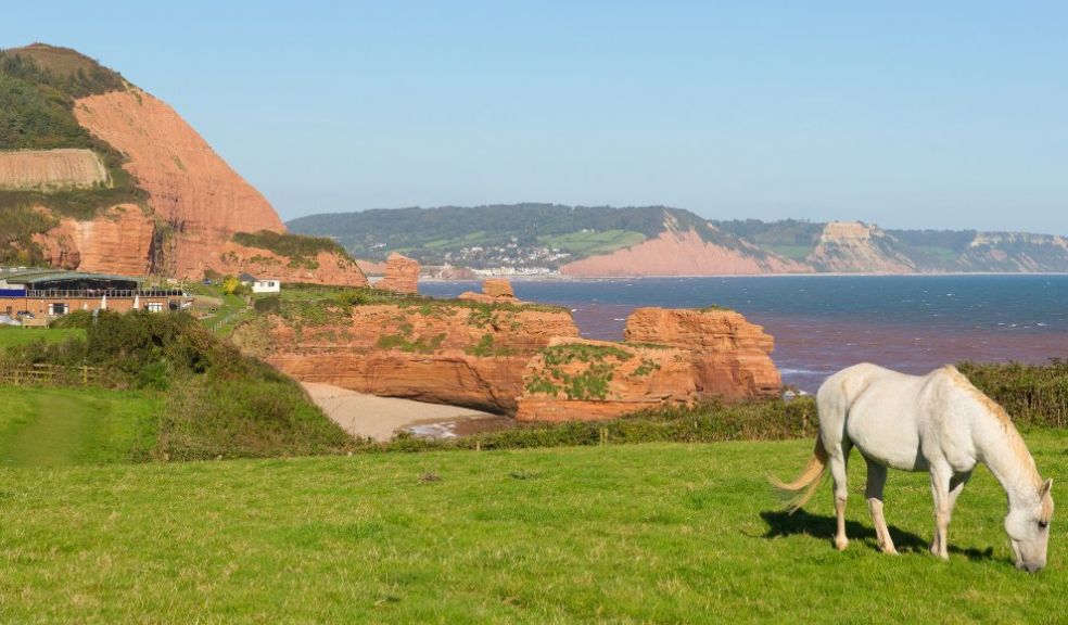 Ladram Bay Holiday Park booking boom travel