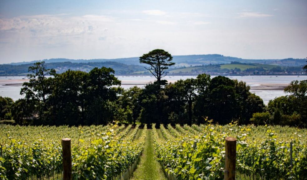 Lympstone Manor vineyards estuary view travel holidays