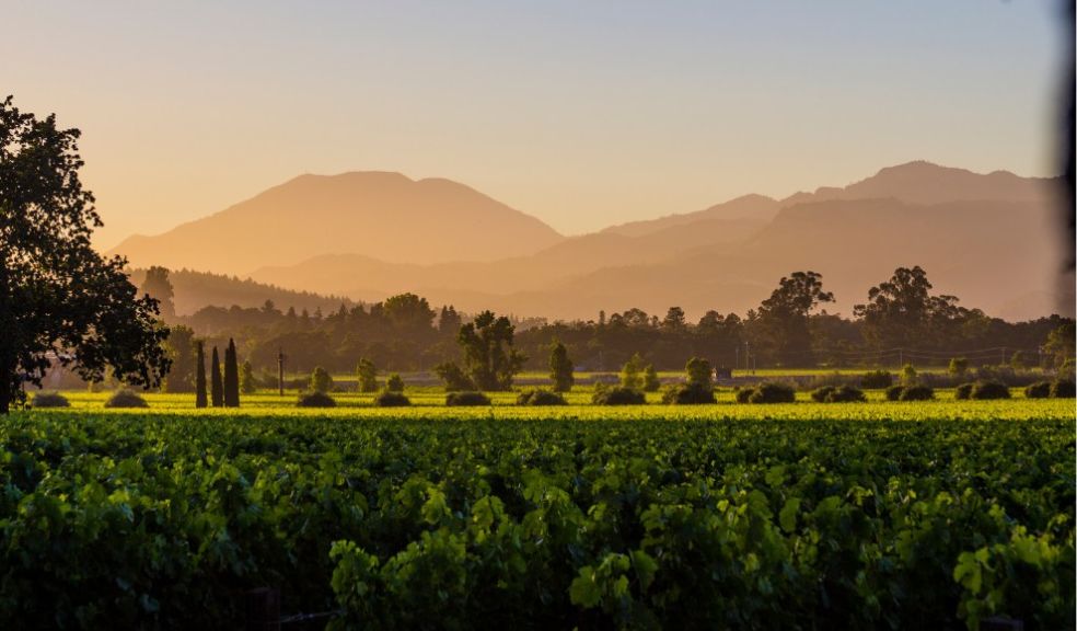 Multi-trip travel trend Experience up to five different holidays in one culture trip napa valley