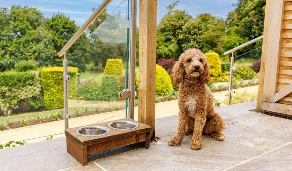 New Dog Friendly Hotel Rooms Created at Tewkesbury Park dog friendly hotels