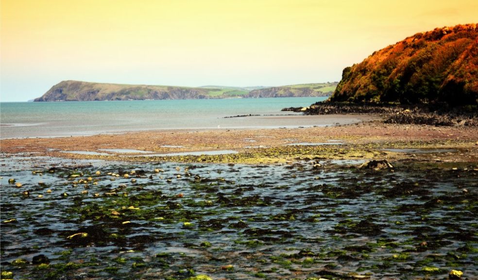 Ranked The MUST Visit Relaxing Staycation Holiday Destinations Across The UK travel Fishguard Bay