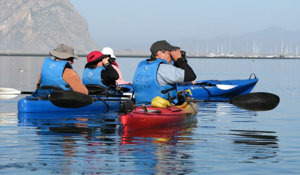 SLO CAL Morro Bay 8 sustainable wildlife experiences for intrepid travellers