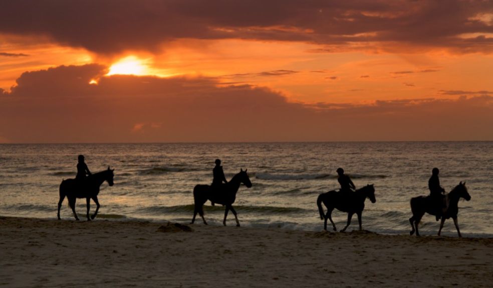 Saddle up! Top Holiday Resort Siyam World launches Maldives first resort horse ranch travel