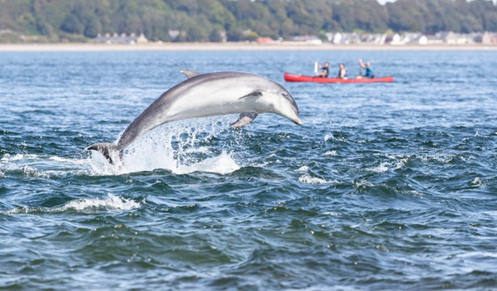 The top five places to spot wildlife whilst on holiday in the UK