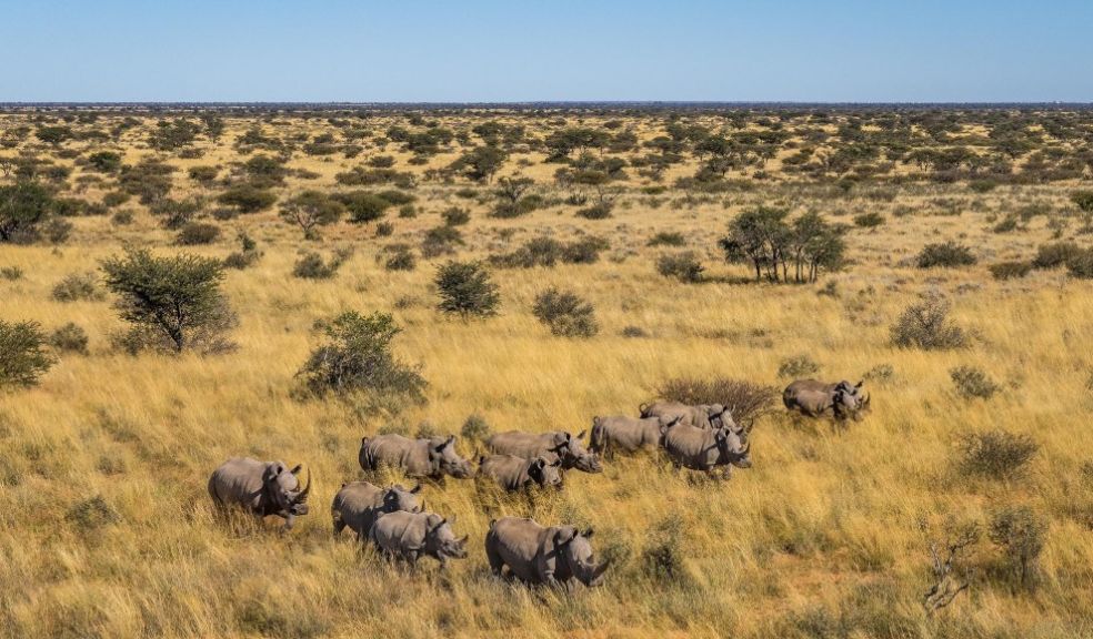 Tswalu Introduces Rhino Conservation Travel Experience holiday South Africa