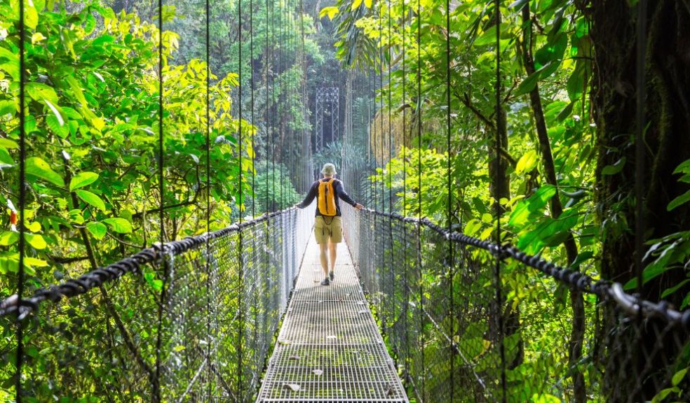 Unforgettable Canopy Experiences in Costa Rica Travel