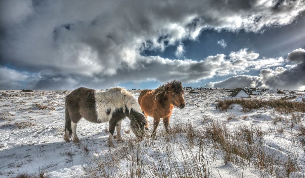 Why a winter holiday is good for the soul Dartmoor Devon travel