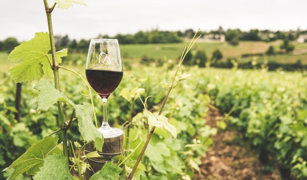 Wine glass France wine tasting experience travel
