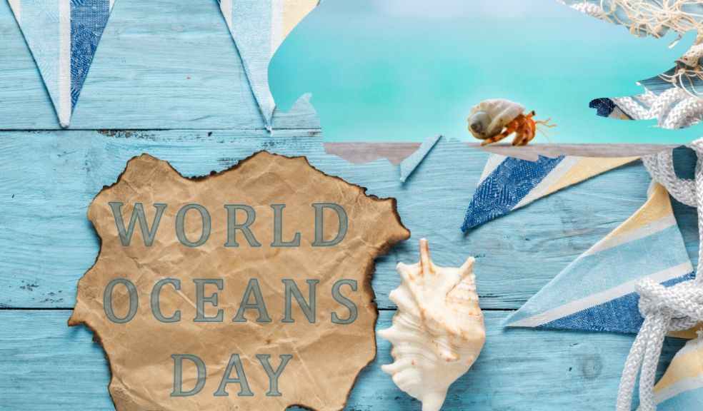 World Oceans Day Crab Conservation Travel
