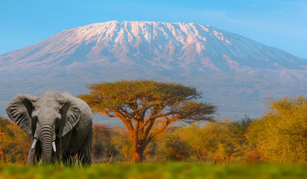 Worldschooling Opportunity: Kilimanjaro and Africa Trip 2024 travelling