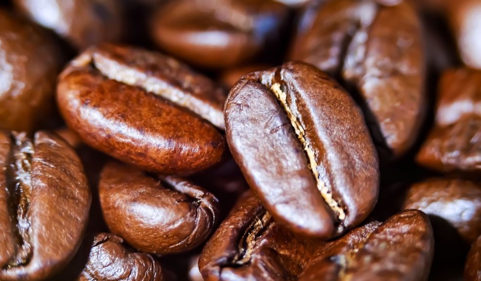 Jamaica Blue Mountain Coffee Festival Celebrates the World’s Best Tasting Coffee