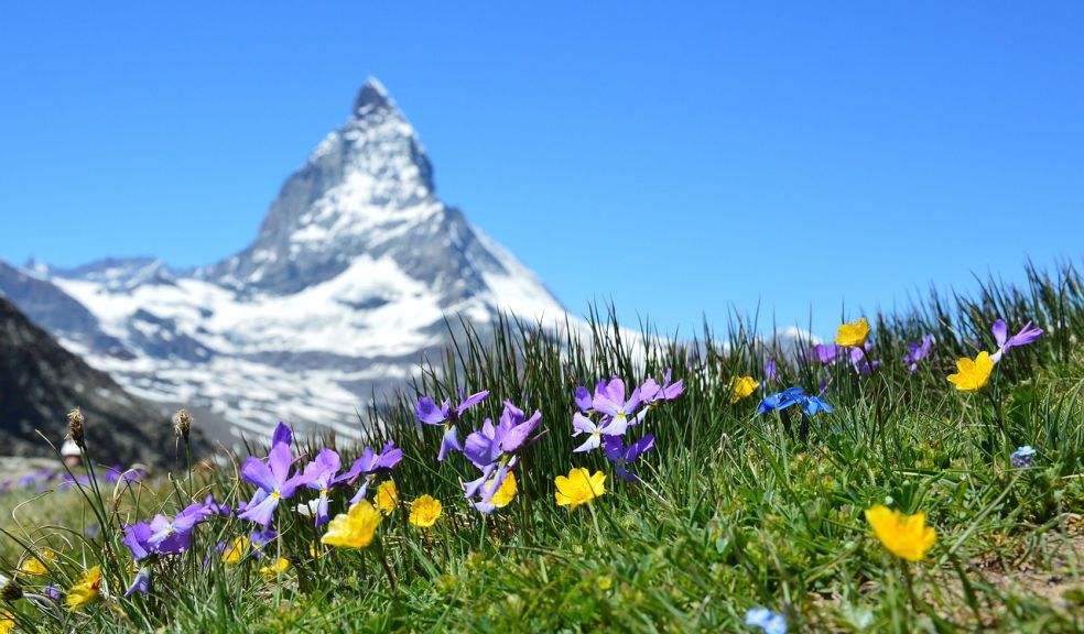 Dive into the heart of the Alps and reach Zermatt in about 3.5 hours, enjoying scenic vistas along the way.