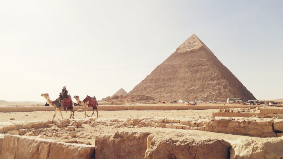 camels walking near pyramids in Egypt 