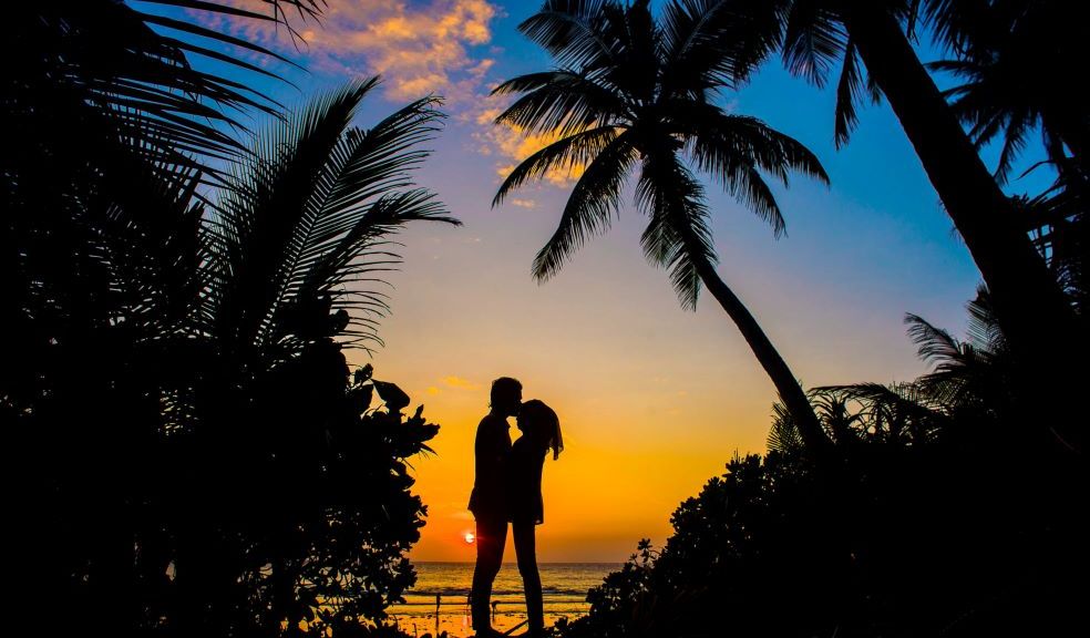 couple kissing under palm trees with orange and purple sunset behind them