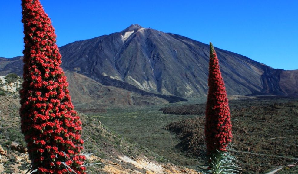 Mount Teide, Spain's highest peak in Tenerife