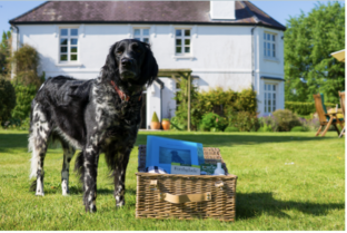  Bulleigh Barton Manor Dog owning travel