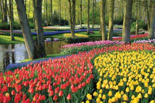 Great Rail Journeys Floriade Flower Show and Keukenhof Gardens travel