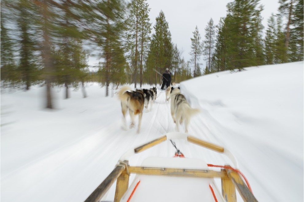 Adventure Seventeen travel experiences around the world husky sledding Hokkaido Japan