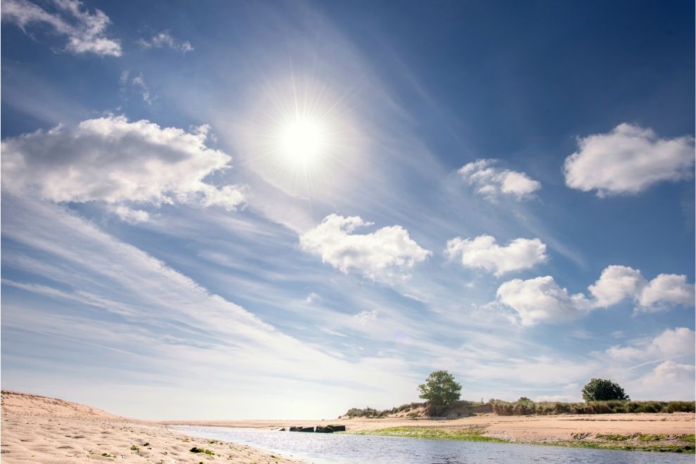 Alnmouth beach, Northumberland dog friendly travel