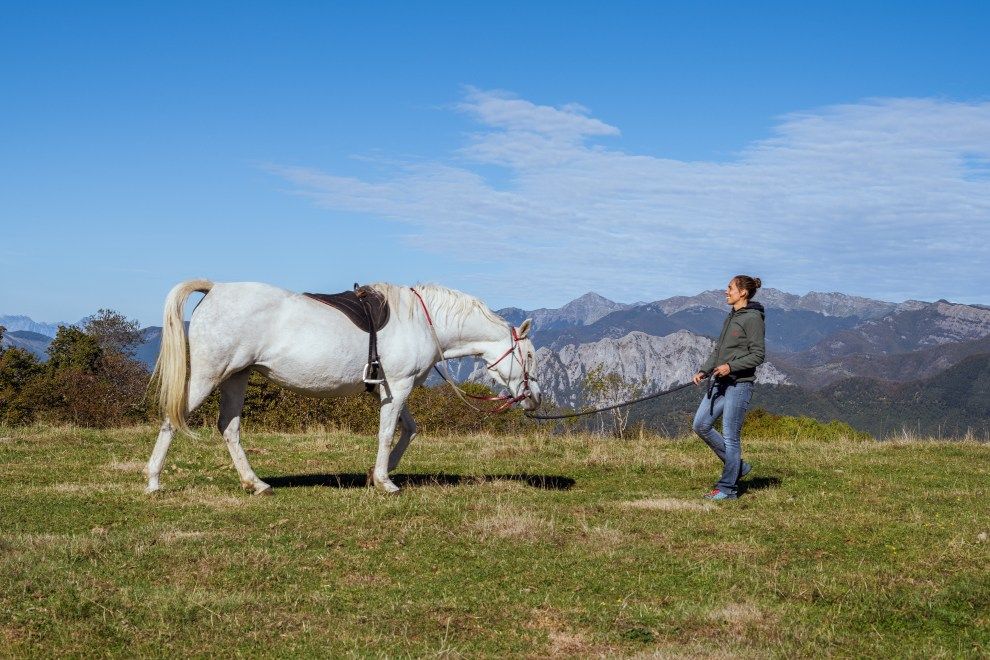 Autumnal travel in Tuscany Oasyhotel nature reserve horse riding holidays