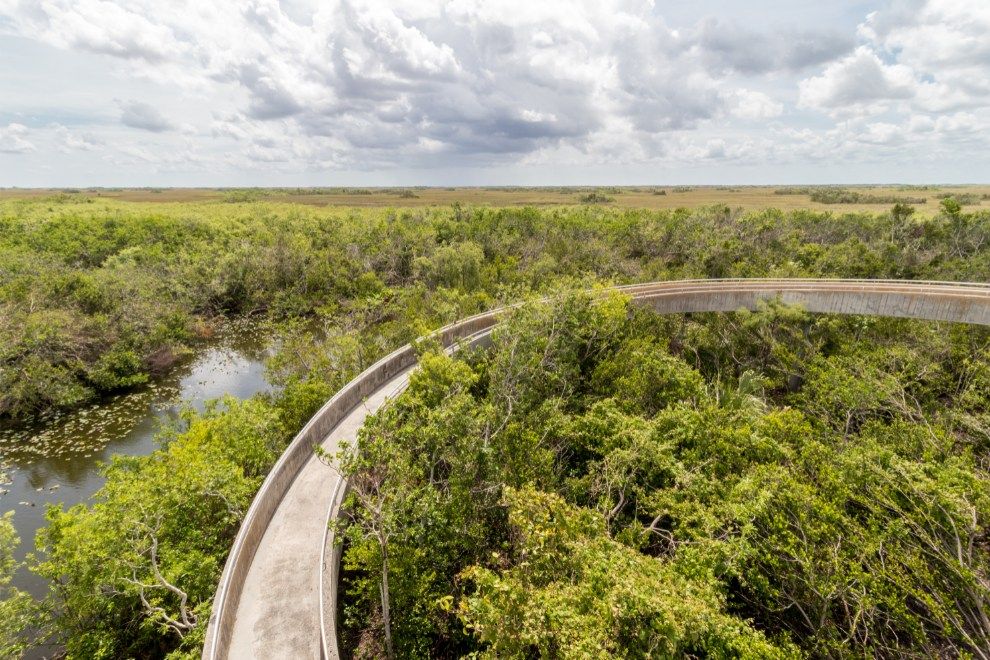 Earth day 2022 travel sanctuaries around the world Everglades National Park Florida