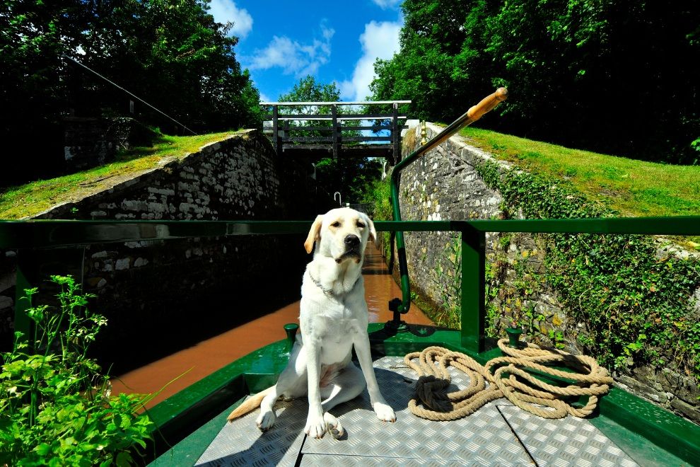 Expedia, Hotels.com and VRBO Reveal the Unexpected Travel Trends of 2023 Monmouthshire Brecon Canal