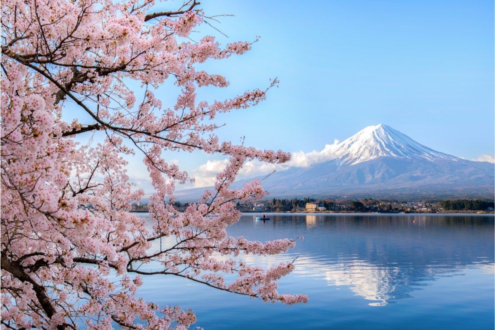 Five reasons to add Japan to your travel bucket list Mount Fuji cherry blossom