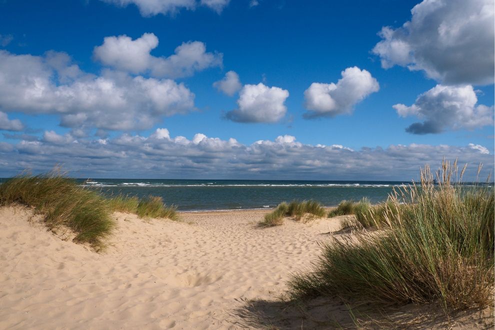 Holkham beach, Norfolk dog friendly travel