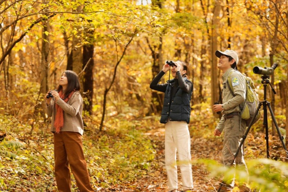 Japans Asiatic black bears experiences 8 sustainable wildlife experiences for intrepid travellers