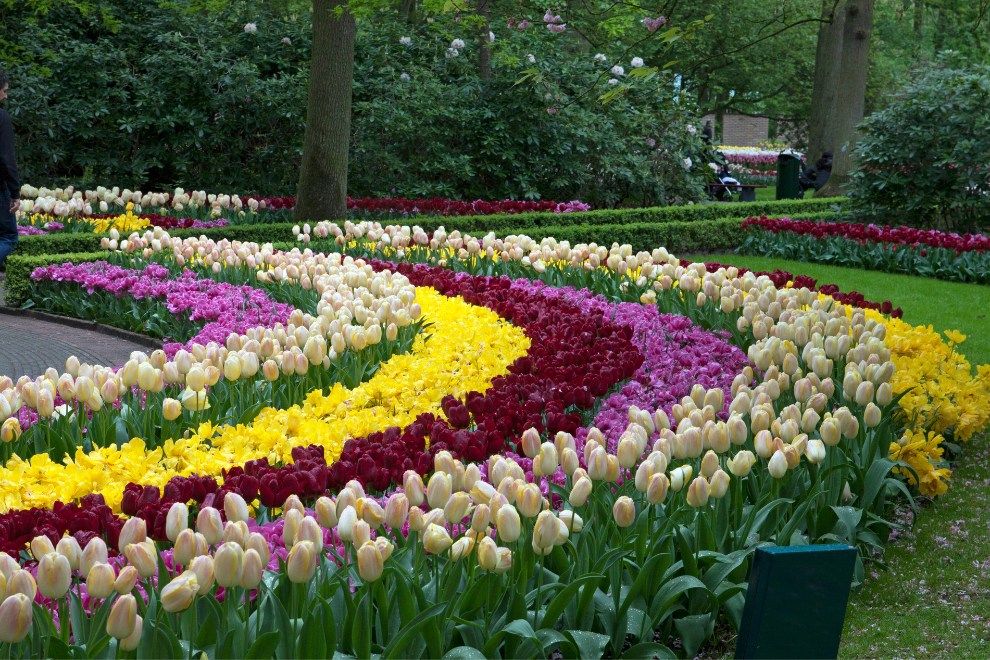 Keukenhof Gardens Amsterdam Where to Visit Whilst River Cruising the Rhine travel