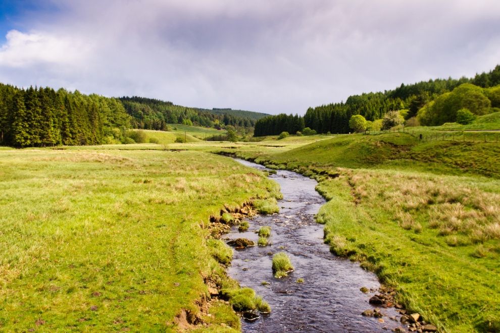 Kielder Forest Northumberland Staycation Travel