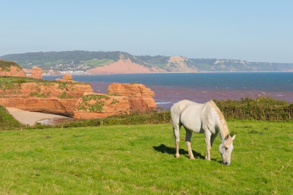 Ladram Bay, Jurassic Coast, road trip, travel