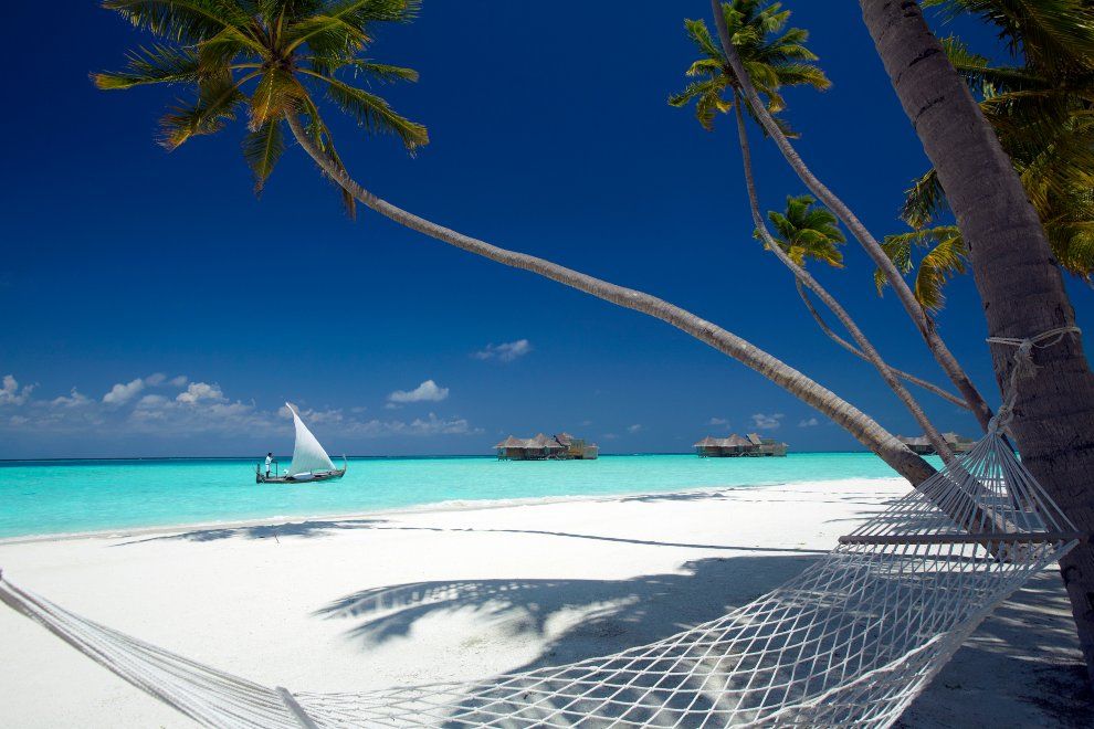 Palm Beach with Hammock Gili Lankanfushi The Maldives surfing holiday travel