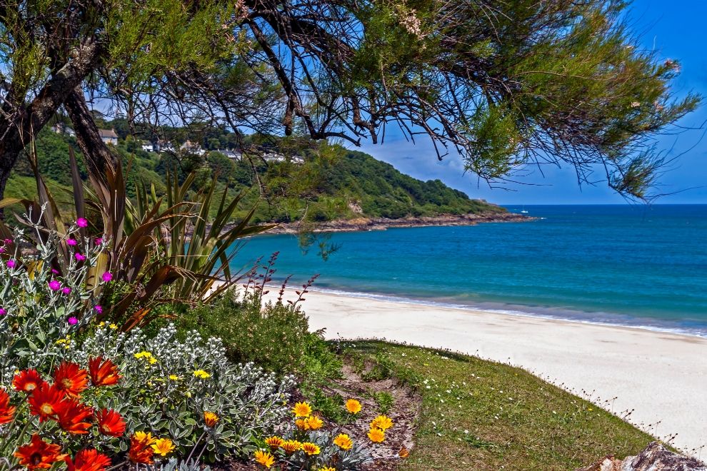 Porthmeor Beach, Cornwall dog friendly travel