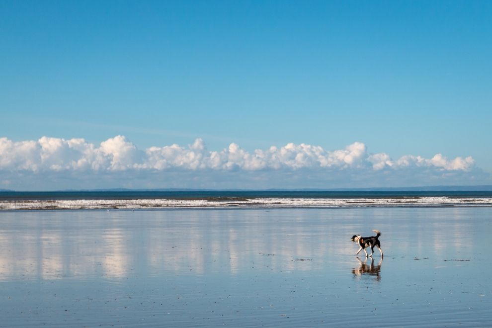 Rhossili Bay Beach, Swansea dog friendly travel