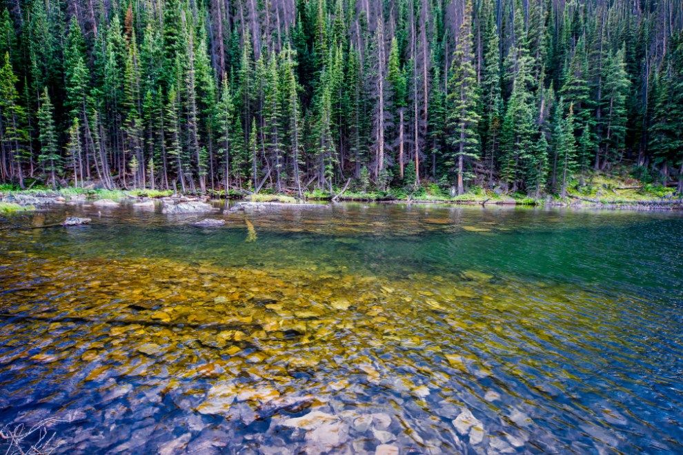 Rocky Mountain National Park rewilding Sustainable Travel in Colorado USA