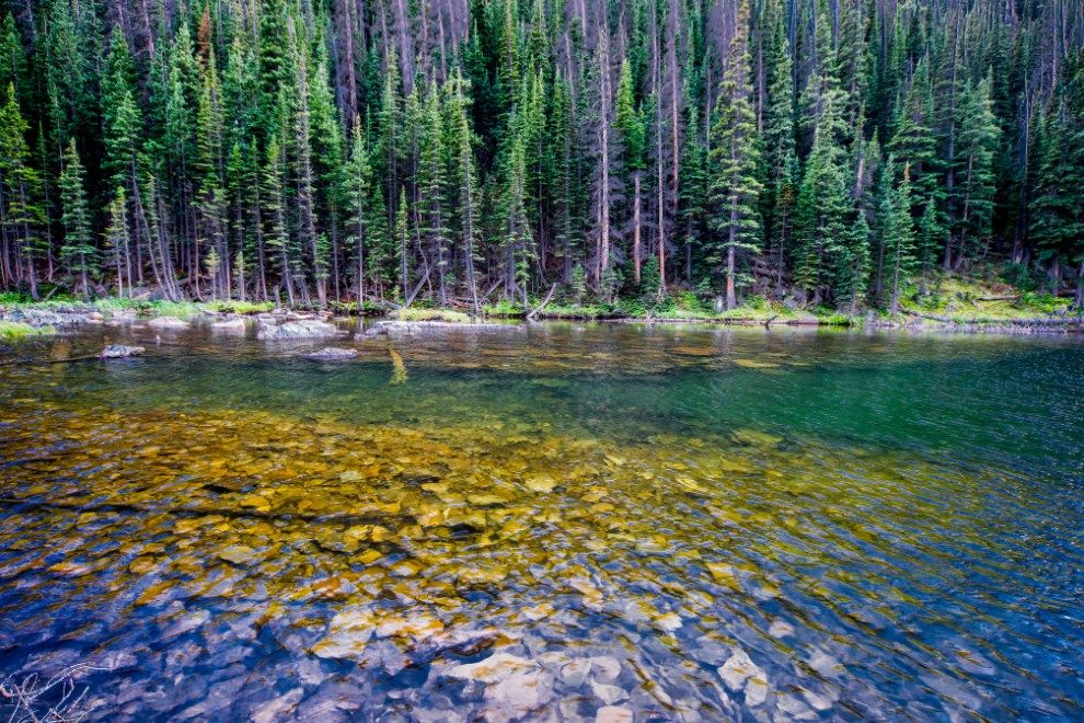 Rocky Mountain National Park rewilding Sustainable Travel in Colorado USA