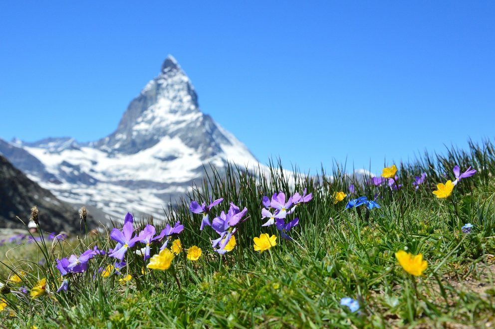 Switzerland travel restrictions