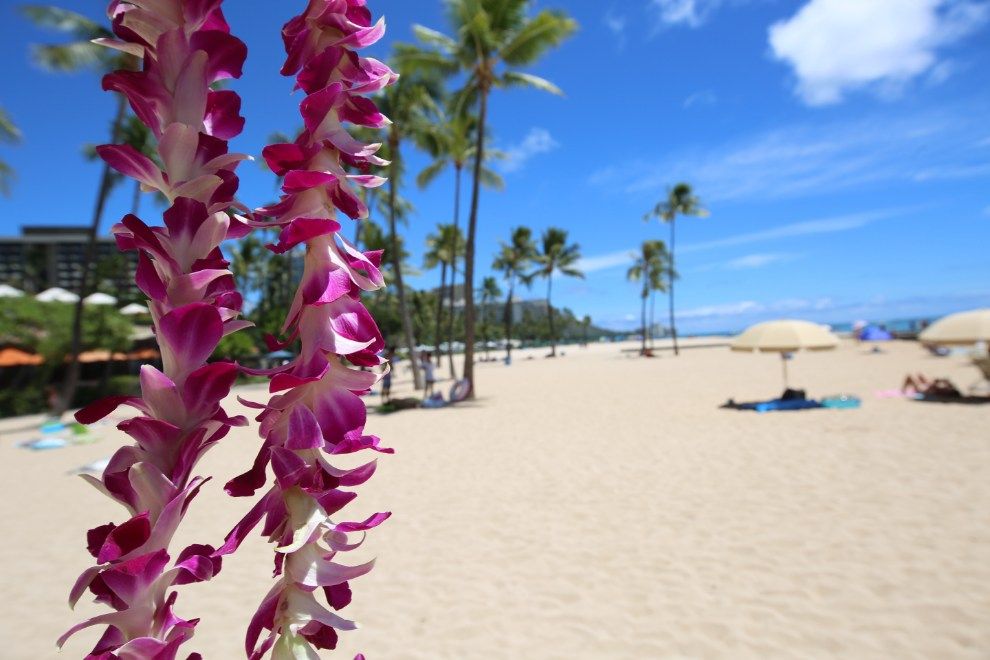 Which Is The Most Instagrammed Honeymoon Holiday Destination In The US travel Hawaii