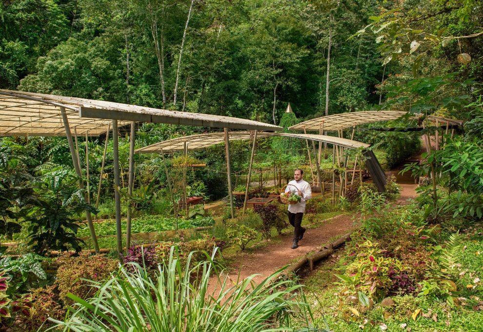 best time to visit bucket list travel destination Costa Rica Origins Luxury Lodge Mantis garden