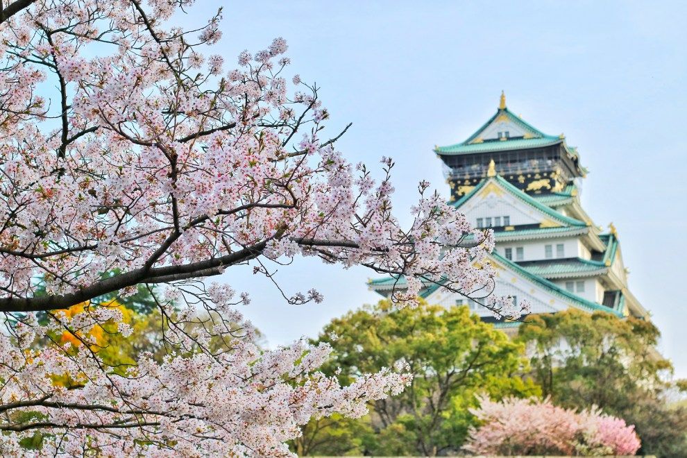 Five reasons to add Japan to your travel bucket list